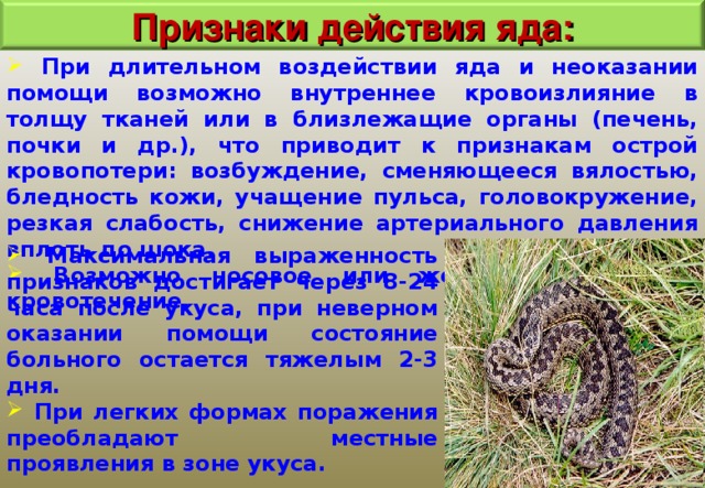 Признаки действия яда:  При длительном воздействии яда и неоказании помощи возможно внутреннее кровоизлияние в толщу тканей или в близлежащие органы (печень, почки и др.), что приводит к признакам острой кровопотери: возбуждение, сменяющееся вялостью, бледность кожи, учащение пульса, головокружение, резкая слабость, снижение артериального давления вплоть до шока.  Возможно носовое или желудочно-кишечное кровотечение.  Максимальная выраженность признаков достигает через 8-24 часа после укуса, при неверном оказании помощи состояние больного остается тяжелым 2-3 дня.  При легких формах поражения преобладают местные проявления в зоне укуса.  