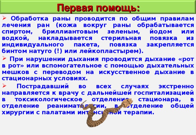 Первая помощь:  Обработка раны проводится по общим правилам лечения ран (кожа вокруг раны обрабатывается спиртом, бриллиантовым зеленым, йодом или водкой, накладывается стерильная повязка из индивидуального пакета, повязка закрепляется бинтом натуго (!) или лейкопластырем).  При нарушении дыхания проводится дыхание «рот в рот» или вспомогательное с помощью дыхательных мешков с переводом на искусственное дыхание в стационарных условиях.  Пострадавший во всех случаях экстренно направляется к врачу c дальнейшей госпитализацией в токсикологическое отделение стационара, в отделение реаниматологии, в отделение общей хирургии с палатами интенсивной терапии. 