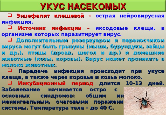 УКУС НАСЕКОМЫХ  Энцефалит клещевой – острая нейровирусная инфекция.  Источник инфекции – иксодовые клещи, в организме которых паразитирует вирус.  Дополнительным резервуаром и переносчиком вируса могут быть грызуны (мыши, бурундуки, зайцы и др.), птицы (дрозд, щегол и др.) и домашние животные (козы, коровы). Вирус может проникать в молоко животных.   Передача инфекции происходит при укусе клеща, а также через коровье и козье молоко.  Инкубационный период длится 10-12 дней. Заболевание начинается остро с проявлением основных синдромов: общим инфекционным, менингеальным, очаговыми поражениями нервной системы. Температура тела – до 40 С.  