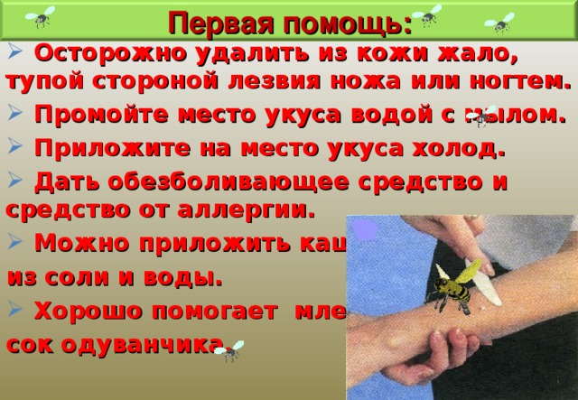 Первая помощь:  Осторожно удалить из кожи жало, тупой стороной лезвия ножа или ногтем.  Промойте место укуса водой с мылом.  Приложите на место укуса холод.  Дать обезболивающее средство и средство от аллергии.  Можно приложить кашицу из соли и воды.  Хорошо помогает млечный сок одуванчика. 