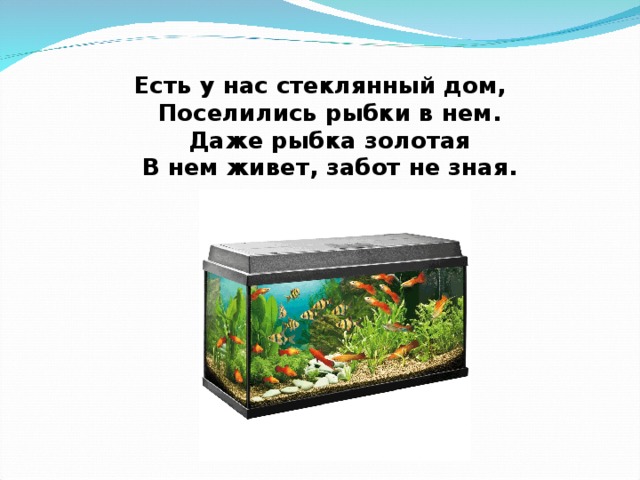 жил без забот управление