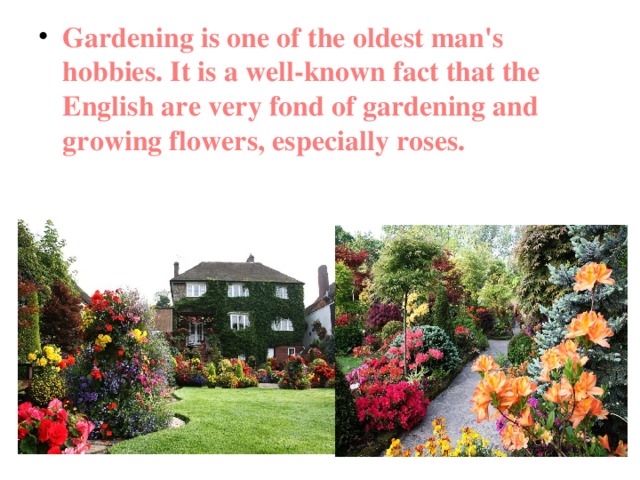 Gardening is one of the oldest man's hobbies. It is a well-known fact that the English are very fond of gardening and growing flowers, especially roses. 