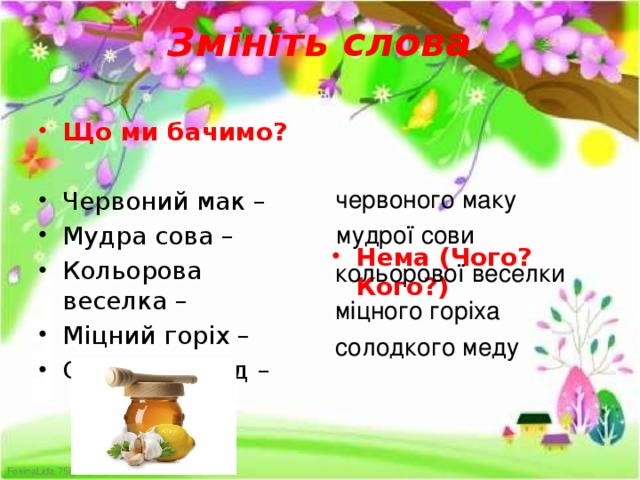 Змініть слова Що ми бачимо? Нема (Чого? Кого?) Червоний мак – Мудра сова – Кольорова веселка – Міцний горіх – Солодкий мед – червоного маку мудрої сови кольорової веселки міцного горіха солодкого меду 