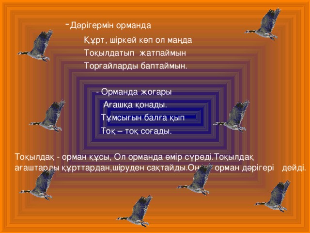 Порно түсірілімдер жинағы Іш киімдегі жетілген әйелдің жеке суреті
