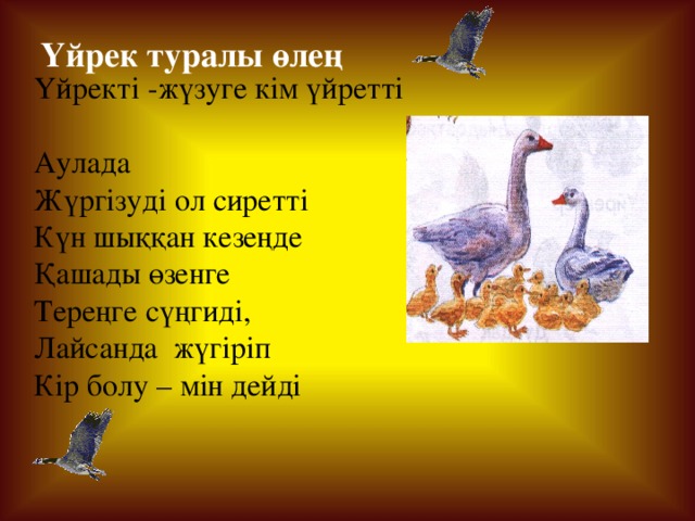  Үйрек туралы өлең  Үйректі -жүзуге кім үйретті Аулада  Жүргізуді ол сиретті Күн шыққан кезеңде Қашады өзенге Тереңге сүңгиді, Лайсанда жүгіріп Кір болу – мін дейді  