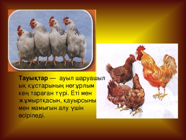 Тауықтар  —  ауыл шаруашылық құстарының неғұрлым кең тараған түрі. Еті мен жұмыртқасын, қауырсыны мен мамығын алу үшін өсіріледі. 