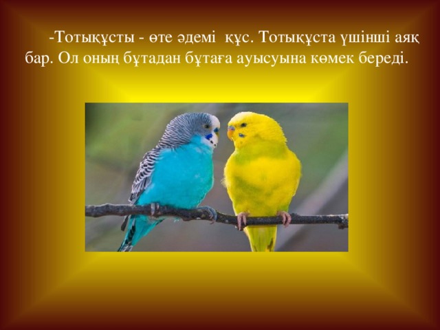 -Тотықұсты - өте әдемі құс. Тотықұста үшінші аяқ бар. Ол оның бұтадан бұтаға ауысуына көмек береді. 