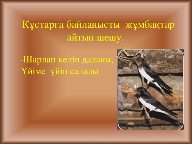 Құстарға байланысты жұмбақтар айтып шешу. - Шарлап келіп даланы, Үйіме үйін салады  