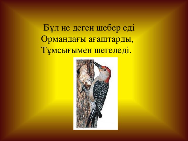  Бұл не деген шебер еді Ормандағы ағаштарды, Тұмсығымен шегеледі. 