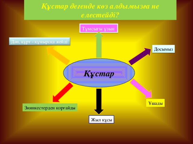 Құстар дегенде көз алдымызға не елестейді? Тұмсығы ұзын Дән, құрт - құмырсқа жейді Досымыз Құстар Ұшады Зиянкестерден қорғайды Жыл құсы 