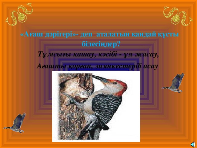  «Ағаш дәрігері»- деп аталатын қандай құсты білесіңдер? Тұмсығы қашау, кәсібі - ұя жасау, Ағашты қорғап, зиянкестерді асау  