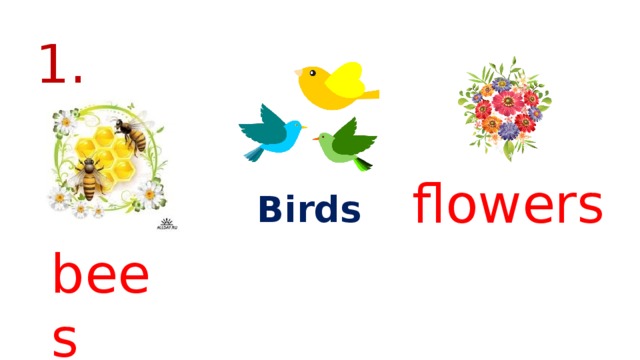 1. flowers Birds bees 