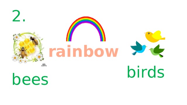 2. rainbow birds bees 