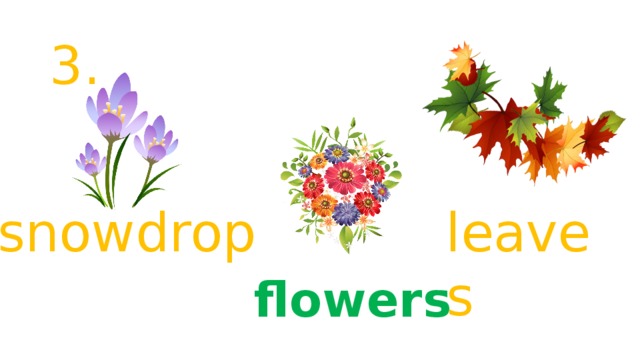 3. snowdrop leaves flowers 