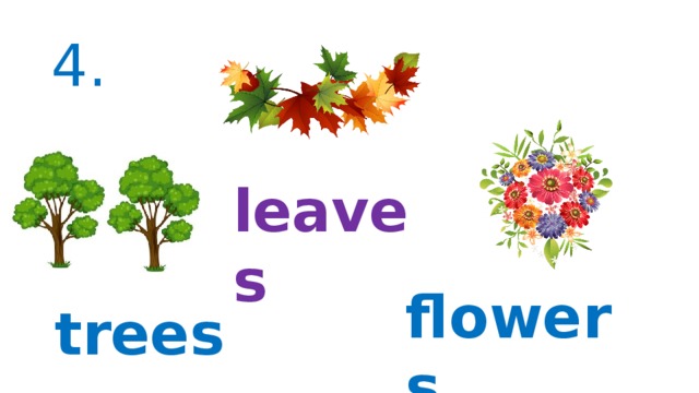 4. leaves flowers trees 