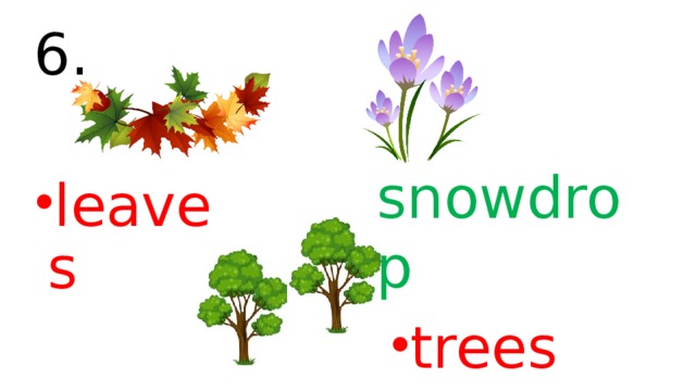 6. snowdrop leaves trees 