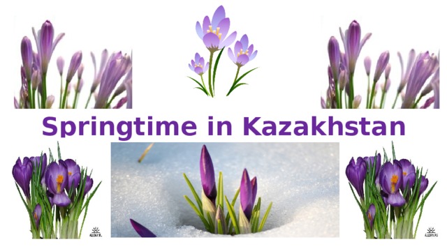 Спринг тайм. Springtime in Kazakhstan. Springtime in Kazakhstan план урока 1 класс. Macrоpelata it´s Springtime.