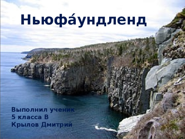 Н Ньюфа́ундленд Выполнил ученик 5 класса В Крылов Дмитрий 