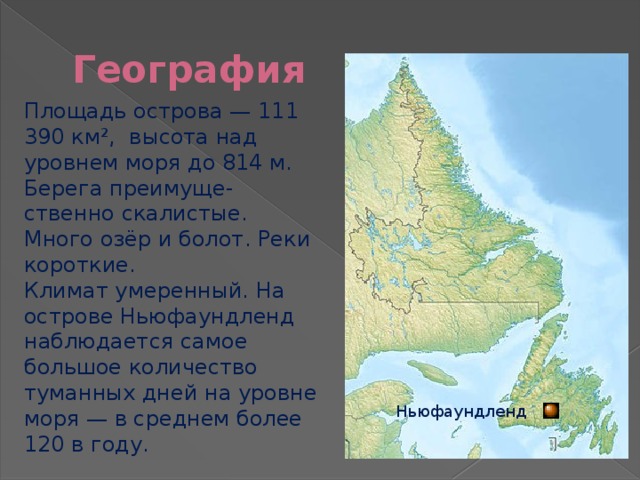 География Площадь острова — 111 390 км², высота над уровнем моря до 814 м. Берега преимуще-ственно скалистые. Много озёр и болот. Реки короткие. Климат умеренный. На острове Ньюфаундленд наблюдается самое большое количество туманных дней на уровне моря — в среднем более 120 в году. Ньюфаундленд 