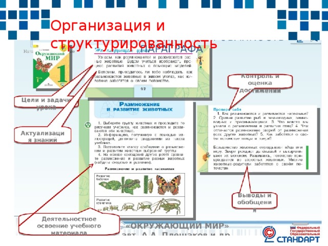 Организация и структурированность 