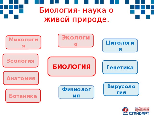 Биология- наука о живой природе. Экология Микология Цитология Зоология БИОЛОГИЯ Генетика Анатомия Вирусология Физиология Ботаника 