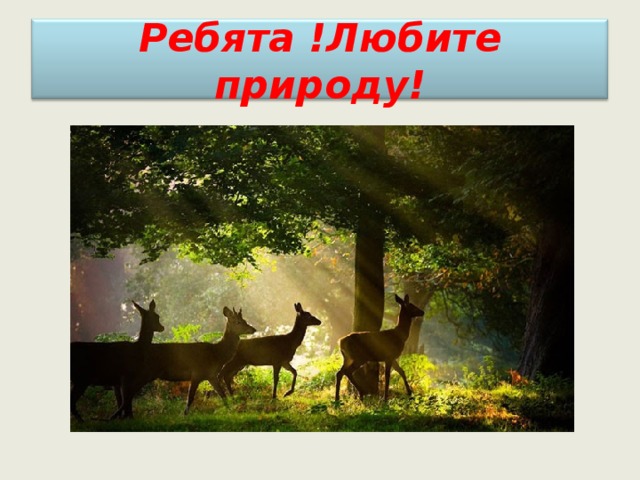 Ребята !Любите природу! 