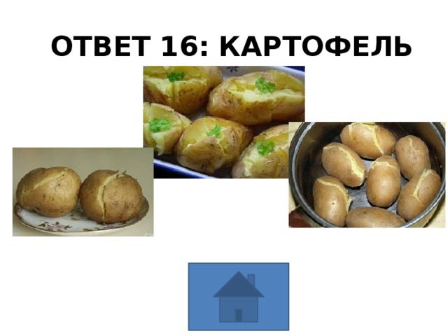 ОТВЕТ 16: КАРТОФЕЛЬ 