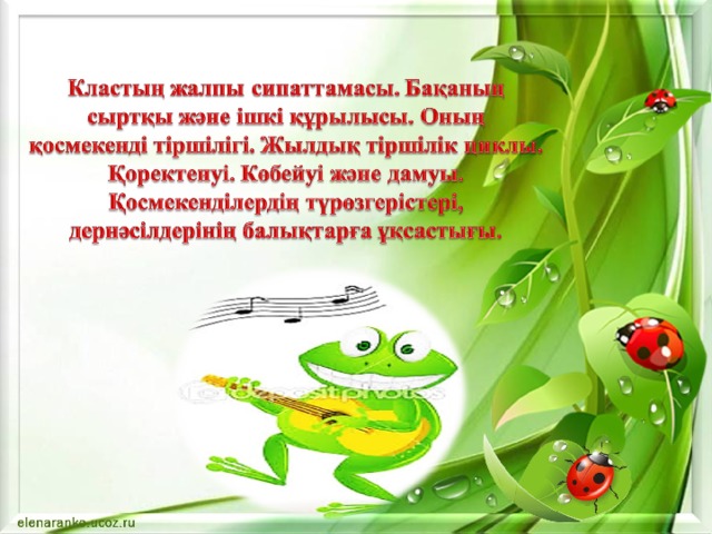 Сәуірдегі порно