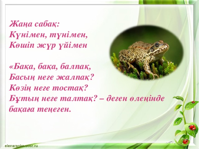Жаңа сабақ: Күнімен, түнімен, Көшіп жүр үйімен «Бақа, бақа, балпақ, Басың неге жалпақ? Көзің неге тостақ? Бұтың неге талтақ? – деген өлеңінде бақаға теңеген. 