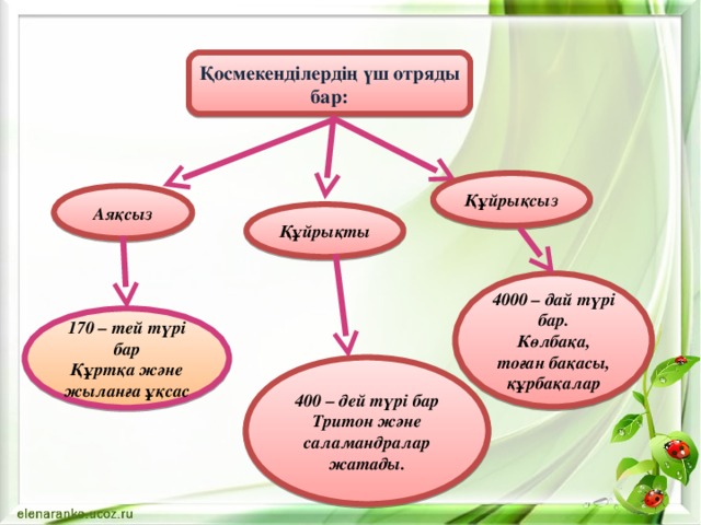 Фото фосфорланудың неше түрі бар