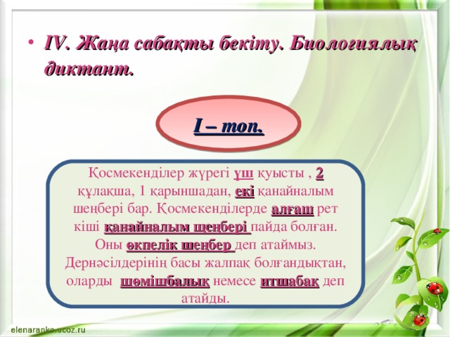 I – топ. IV . Жаңа сабақты бекіту. Биологиялық диктант.  Қосмекенділер жүрегі үш қуысты , 2 құлақша, 1 қарыншадан, екі қанайналым шеңбері бар. Қосмекенділерде алғаш рет кіші қанайналым щеңбері пайда болған. Оны өкпелік шеңбер деп атаймыз. Дернәсілдерінің басы жалпақ болғандықтан, оларды шөмішбалық немесе итшабақ деп атайды. 