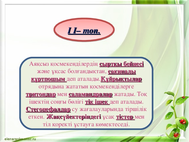 I I– топ. Аяқсыз қосмекенділердің сыртқы бейнесі және ұқсас болғандықтан, сақиналы құртпошым деп аталады. Құйрықтылар отрядына жататын қосмекенділерге тритондар мен саламандралар жатады. Тоқ ішектің соңғы бөлігі тік ішек деп аталады. Стегоцефалдар су жағалауларында тіршілік еткен. Жақсүйектеріндегі ұсақ тістер мен тіл қоректі ұстауға көмектеседі. 