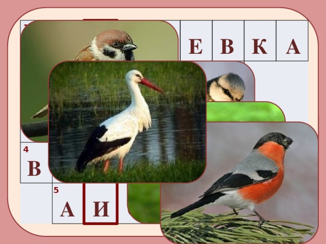 1                                                                     Л А З О Р Е В К А 2 С К В О Р Е Ц 3 С Н Е Г И Р Ь 4 В О Р О Б Е Й 5 А И С Т 