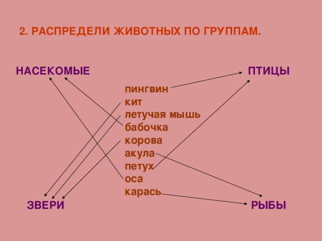 Русский язык 2 класс животные. Распредели животных по группам. Распределить по группам птицы звери. Распределить животных по группам рыбы. Распределить животных по группам Оса.