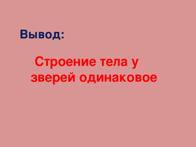 Вывод:   Строение тела у зверей одинаковое 