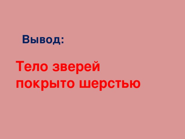Вывод: Тело зверей покрыто шерстью 