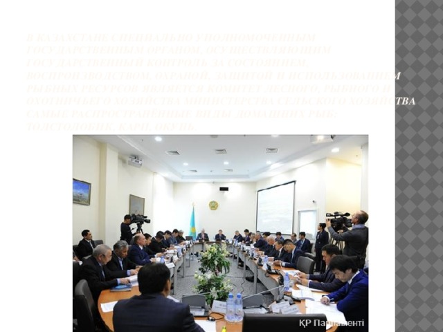 В Казахстане специально уполномоченным государственным органом, осуществляющим государственный контроль за состоянием, воспроизводством, охраной, защитой и использованием рыбных ресурсов является Комитет лесного, рыбного и охотничьего хозяйства Министерства сельского хозяйства  Самые распространённые виды домашних рыб: толстолобик, карп, окунь.   