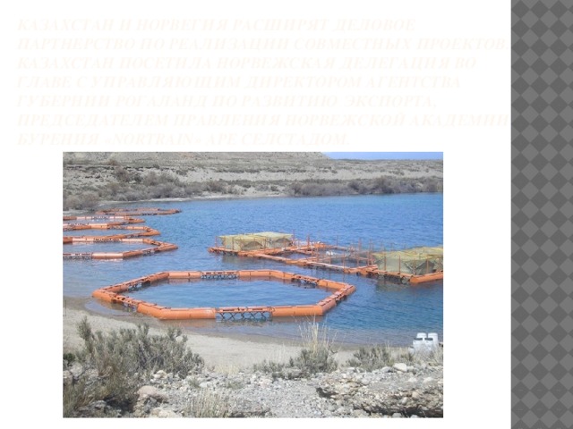 Казахстан и Норвегия расширят деловое партнерство по реализации совместных проектов. Казахстан посетила норвежская делегация во главе с управляющим директором Агентства губернии Рогаланд по развитию экспорта, председателем правления Норвежской академии бурения «Nortrain» Аре Селстадом. 