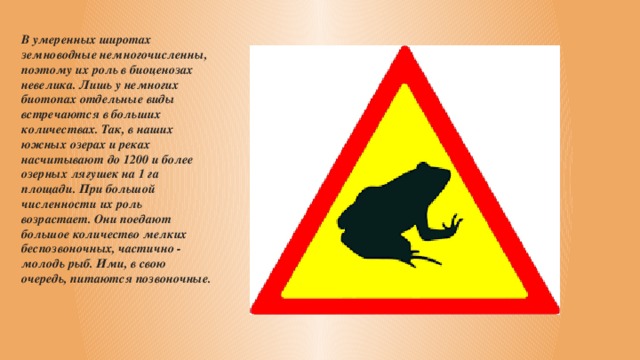 В умеренных широтах земноводные немногочисленны, поэтому их роль в биоценозах невелика. Лишь у немногих биотопах отдельные виды встречаются в больших количествах. Так, в наших южных озерах и реках насчитывают до 1200 и более озерных лягушек на 1 га площади. При большой численности их роль возрастает. Они поедают большое количество мелких беспозвоночных, частично - молодь рыб. Ими, в свою очередь, питаются позвоночные. 