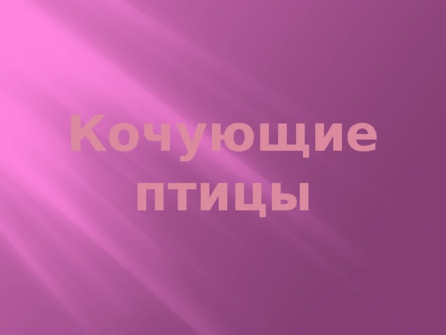 Кочующие птицы