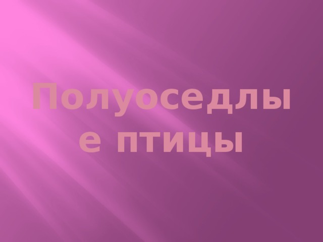 Полуоседлые птицы