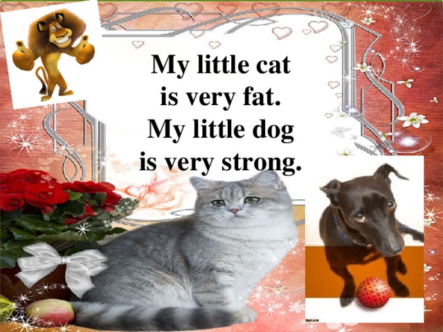 My little cat is very fat. My little dog is very strong. 