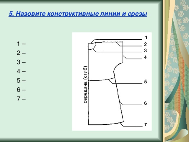 Найдите на эскизе и отметьте цифрой следующие линии чертежа линия горловины спинки