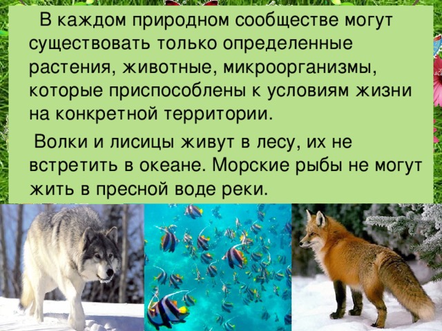  В каждом природном сообществе могут существовать только определенные растения, животные, микроорганизмы, которые приспособлены к условиям жизни на конкретной территории.  Волки и лисицы живут в лесу, их не встретить в океане. Морские рыбы не могут жить в пресной воде реки. 