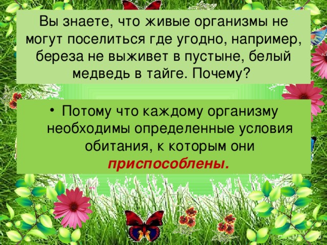 Вы знаете, что живые организмы не могут поселиться где угодно, например, береза не выживет в пустыне, белый медведь в тайге. Почему? Потому что каждому организму необходимы определенные условия обитания, к которым они приспособлены. 