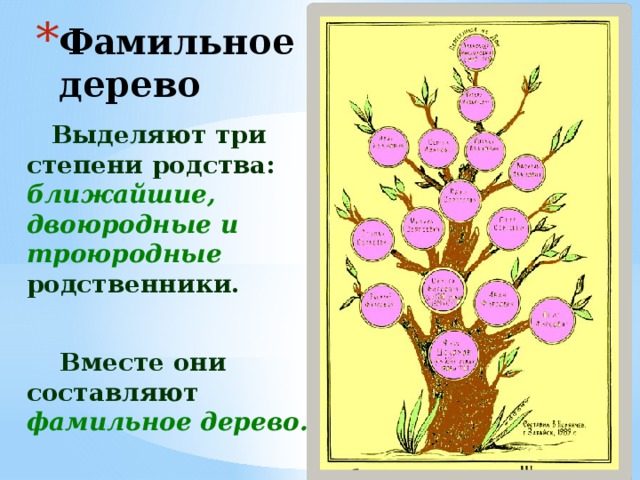 Фамильное дерево