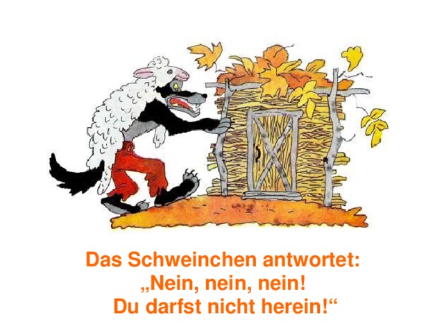 Das Schweinchen antwortet: „ Nein, nein, nein! Du darfst nicht herein!“ 