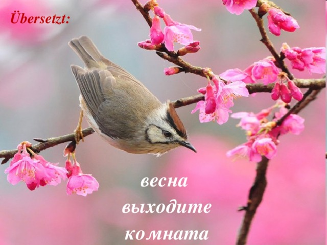 Übersetzt: весна  выходите комната 
