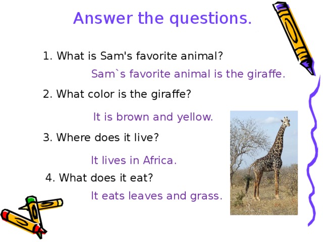 Answer the questions. 1. What is Sam's favorite animal? Sam`s favorite animal is the giraffe. 2. What color is the giraffe? It is brown and yellow. 3. Where does it live? It lives in Africa. 4. What does it eat? It eats leaves and grass. 