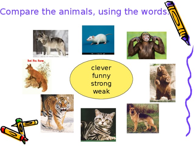 Compare the animals, using the words. clever funny strong weak 